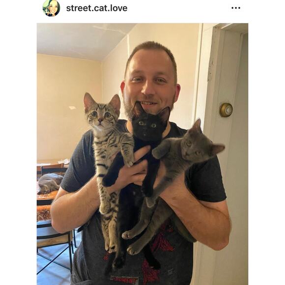 Silver Cat Head with Rhinestone Eyes on Twisted Rope Ring NEW 100% to Charity - Picture 3 of 8